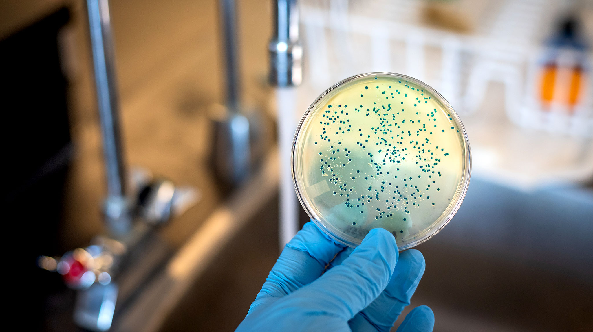 2-Causes-&-How-It-Spreads